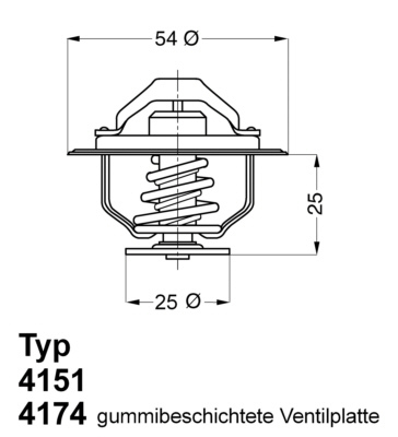 Termostat chladenia BorgWarner (Wahler)