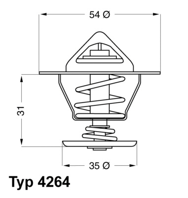 Termostat chladenia BorgWarner (Wahler)