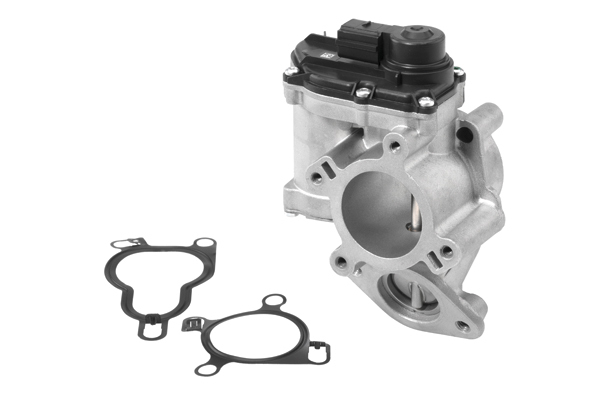 AGR - Ventil BorgWarner (Wahler)