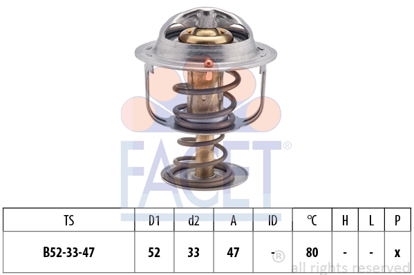 Termostat chladenia FACET