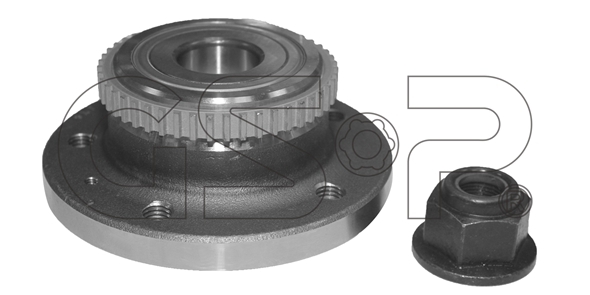 Lożisko kolesa - opravná sada GSP