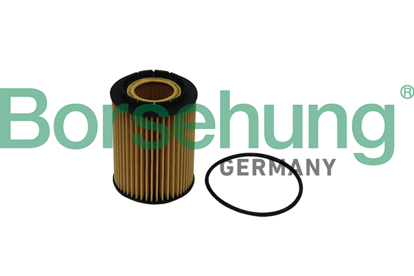 Olejový filter Borsehung
